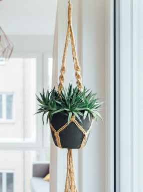 product-04 Hanging Plant
